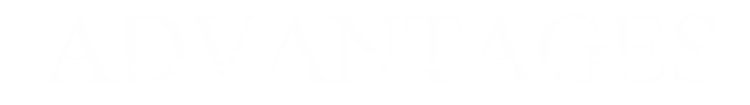 蓝颜
有限公司