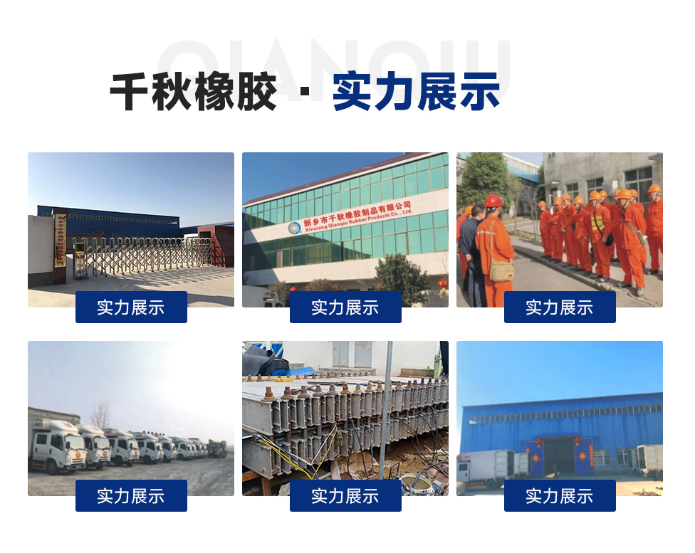 皮带修复-皮带修复-产品中心-蓝颜
有限公司